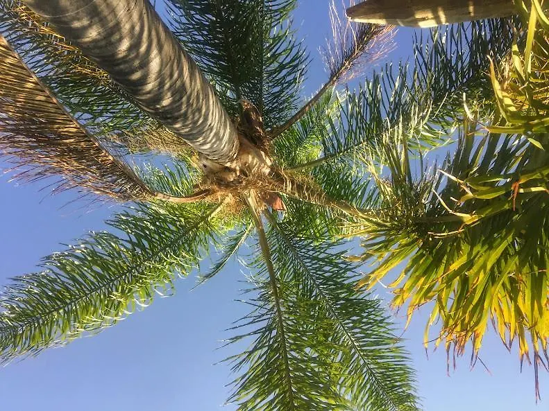 Casita Azahar Andalucia Villa Alhaurín de la Torre Vakantiehuis